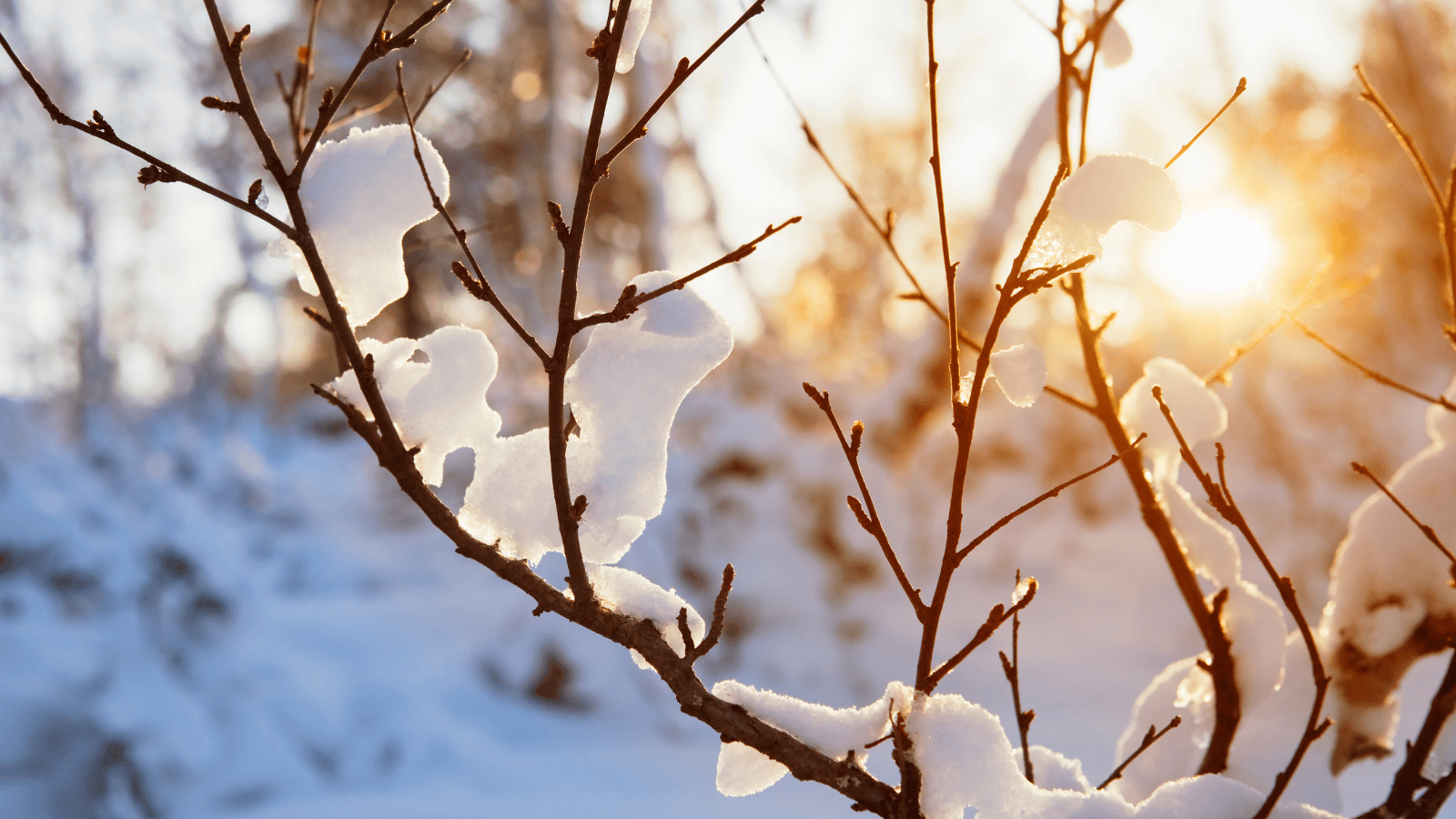 Taka pogoda czeka Polaków w grudniu