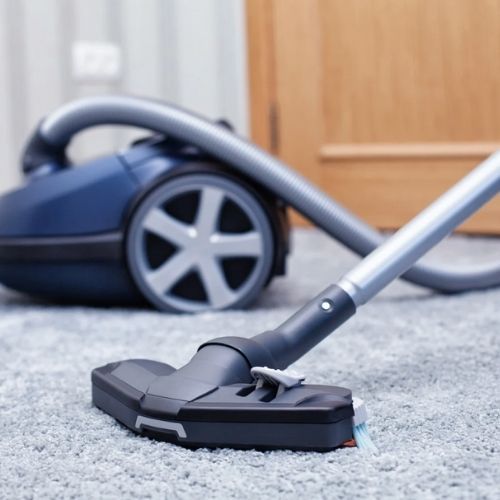 Weź kilka liści do ręki i wrzuć do odkurzacza. Od razu czuć efekt