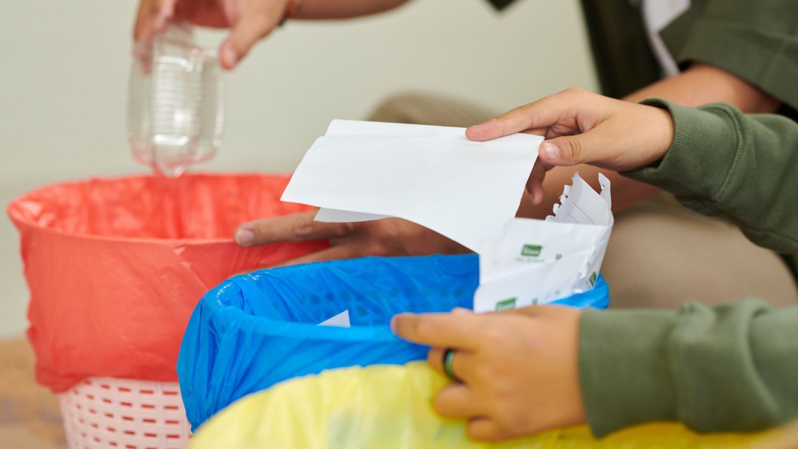 Polacy masowo wyrzucają je do śmieci. Zamiast tego włóż do doniczki, te rośliny ci podziękują