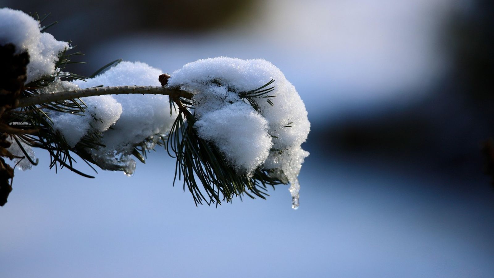 Niesłychane, jaki będzie tegoroczny luty. Czegoś takiego nie było od lat, prognozy mówią jasno