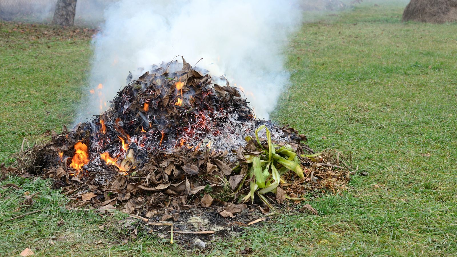 Kary za wypalanie traw będą znacznie wyższe. Prezydent Nawrocki podjął decyzję