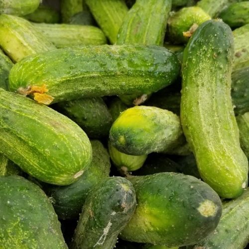  Ogórki po królewsku. Co roku robię kilka słoiczków na zimę