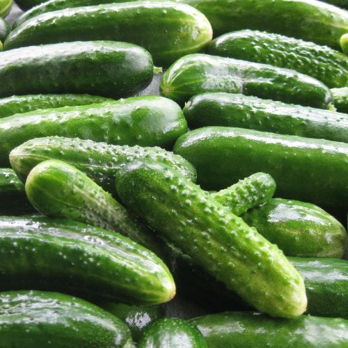 Tyle soli należy wsypać do zalewy do małosolnych. Zasady są żelazne, lepiej się ich trzymać