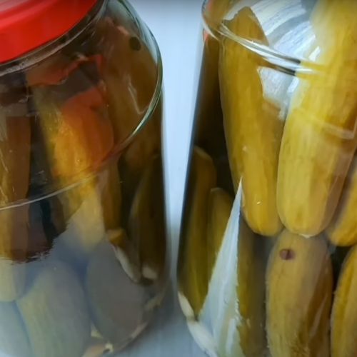 Wbij igłę w ogórka. Patent na doskonałe kiszone