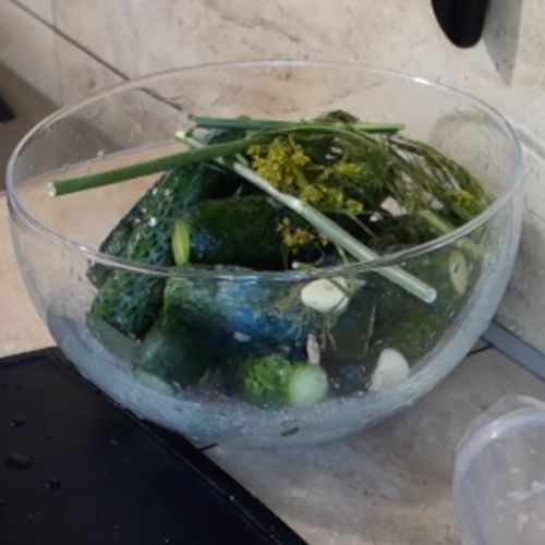 Henia pakuje ogórki z dodatkami do worka. Nie ma szybszego sposobu na małosolne