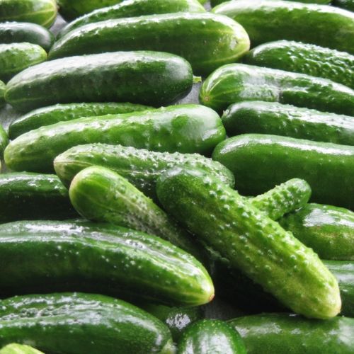 Nie ma co czekać do lata, pierwszy słoik robię dzień po majówce. Małosolne wychodzą jędrne i chrupiące