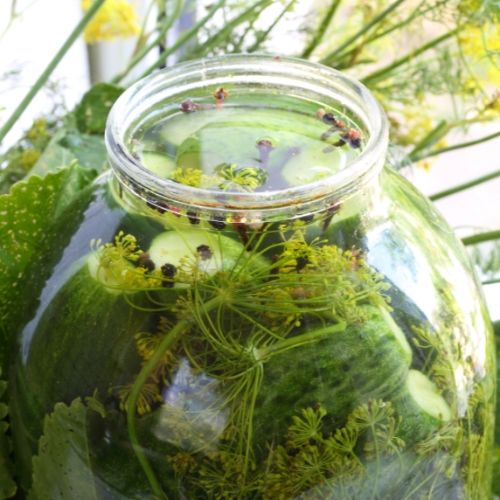 Nie ma co czekać do lata, pierwszy słoik robię dzień po majówce. Małosolne wychodzą jędrne i chrupiące