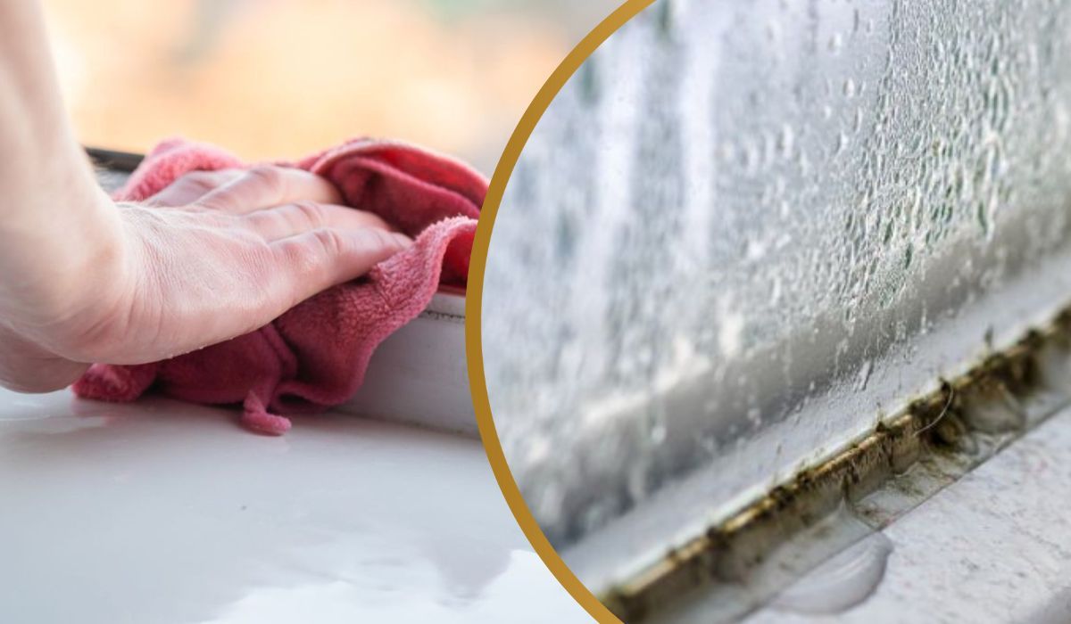 Jak pozbyć się pleśni z okien? Nie używaj chemii, weź produkty z kuchni