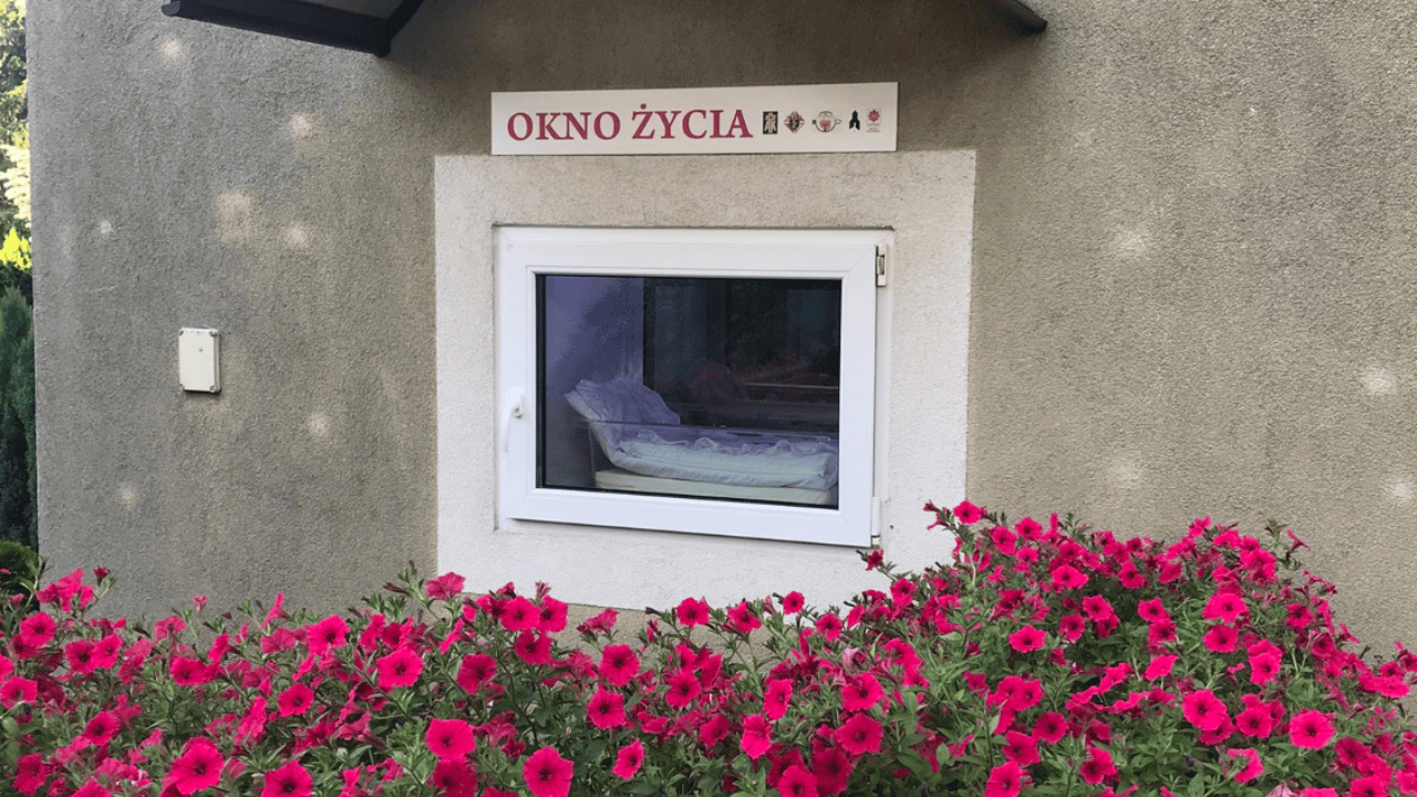 okno życia
