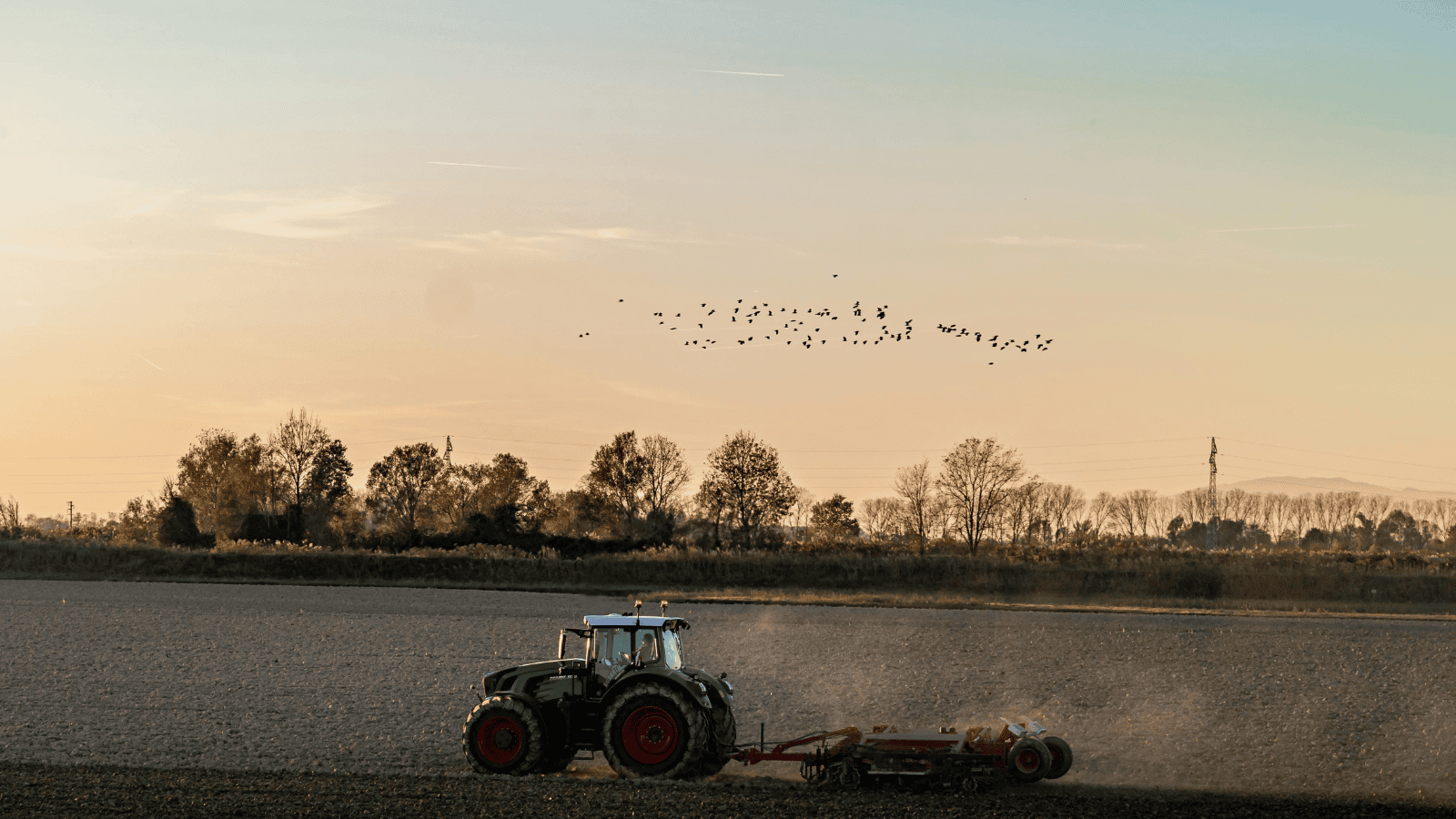 Drogie porządki na posesji. Za ten jeden błąd zapłacisz nawet 30 tysięcy złotych kary