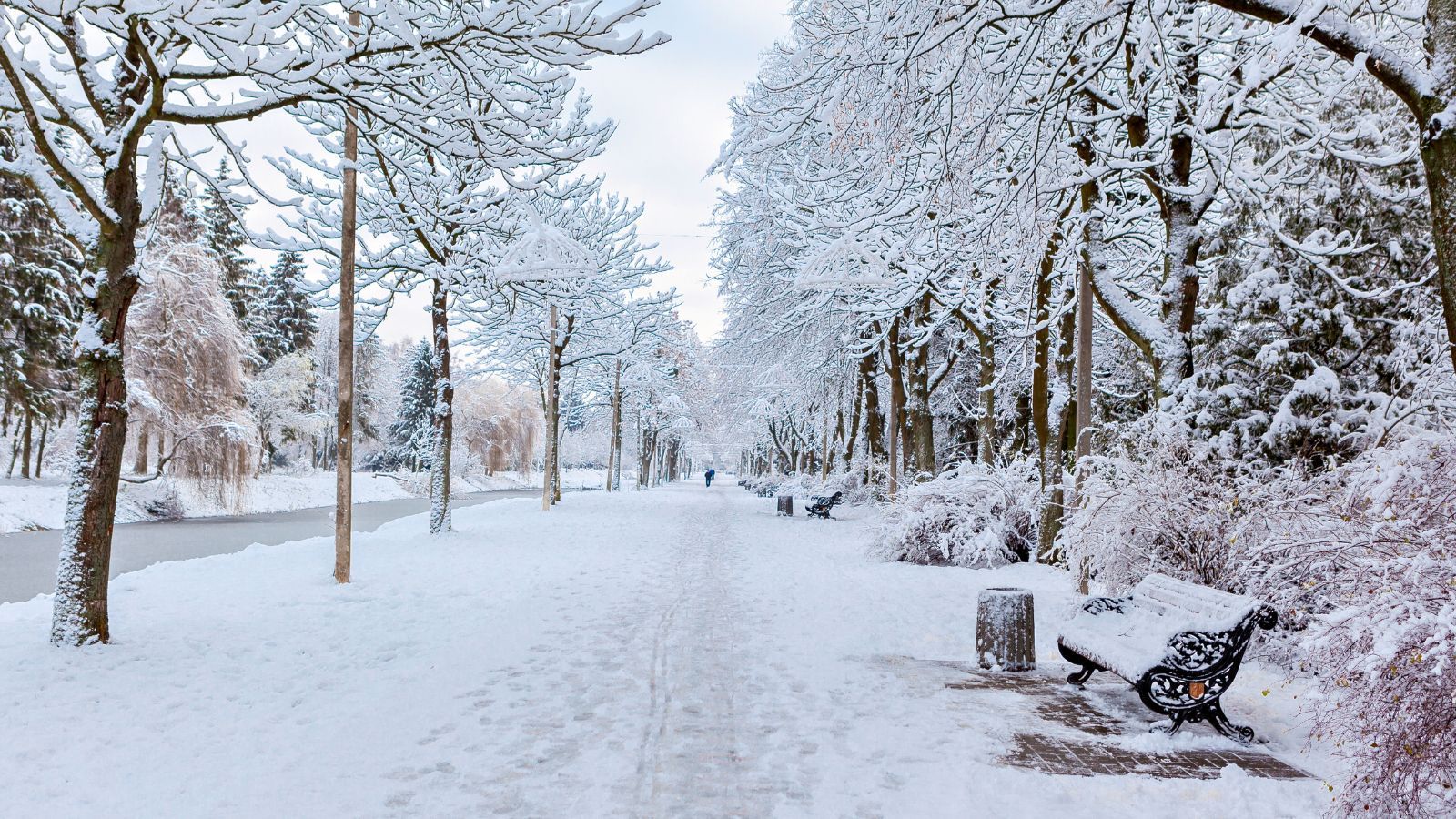 Białe Święta 2025: Prognozy budzą nadzieję. "Modele pogodowe wskazują na zimowy scenariusz".