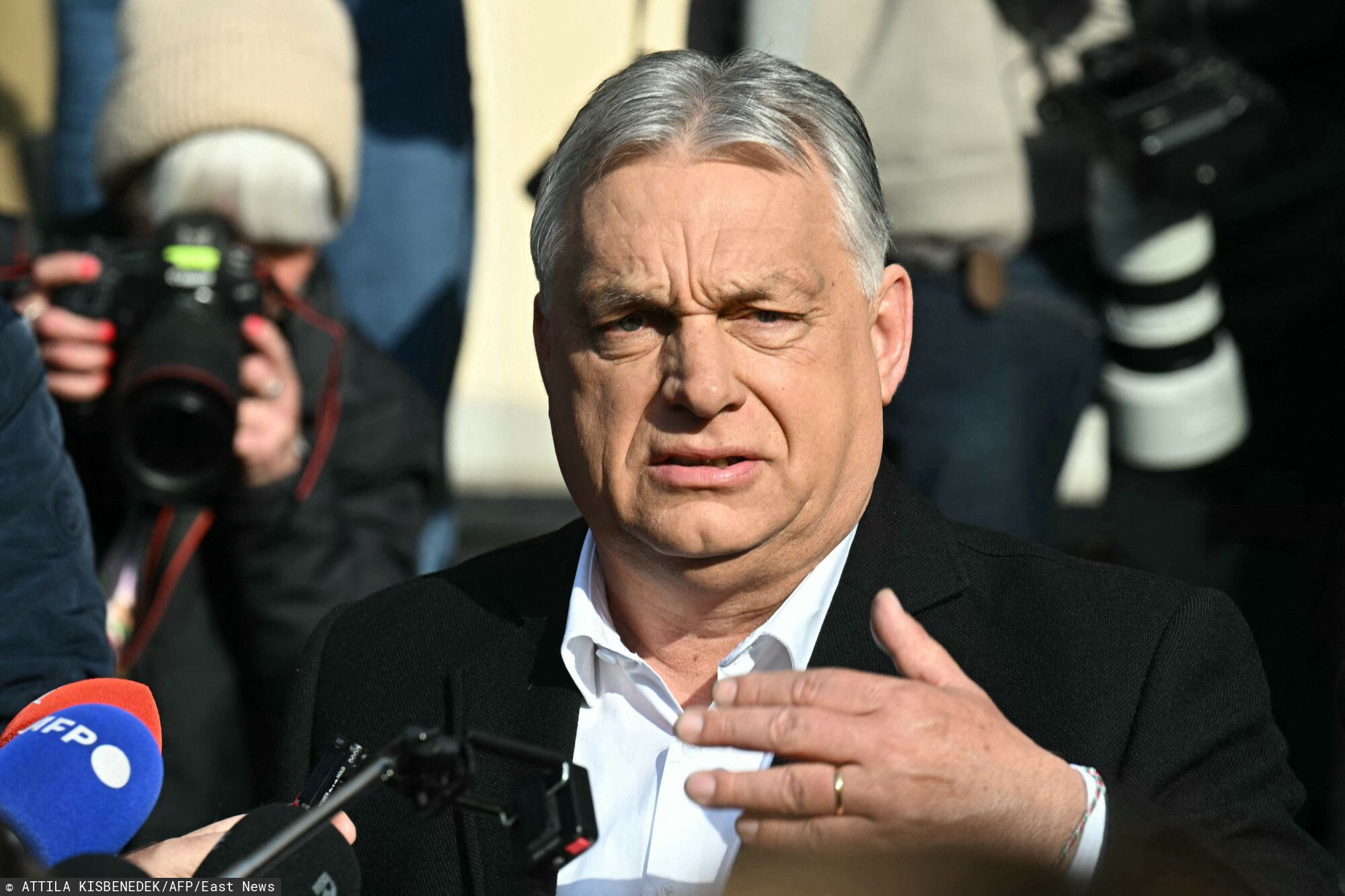 Ile kosztują zakupy na Węgrzech? Niejeden Polak mógłby przeżyć szok w supermarkecie