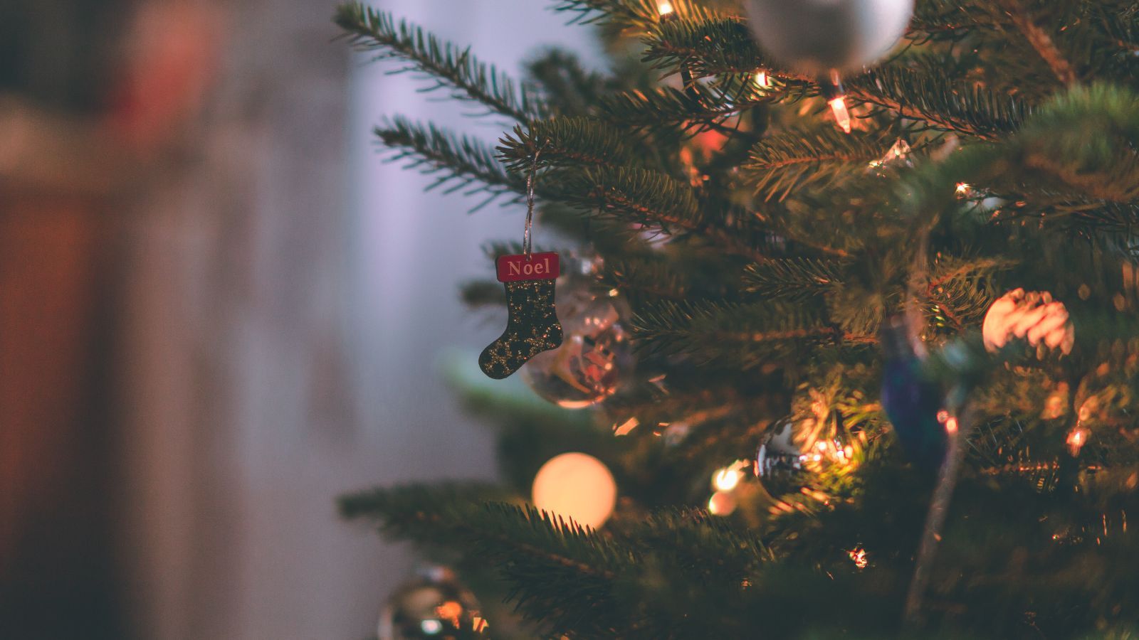 Nie wyrzucaj choinki po świętach. Polacy wciąż popełniają ten błąd, nie mają o tym pojęcia