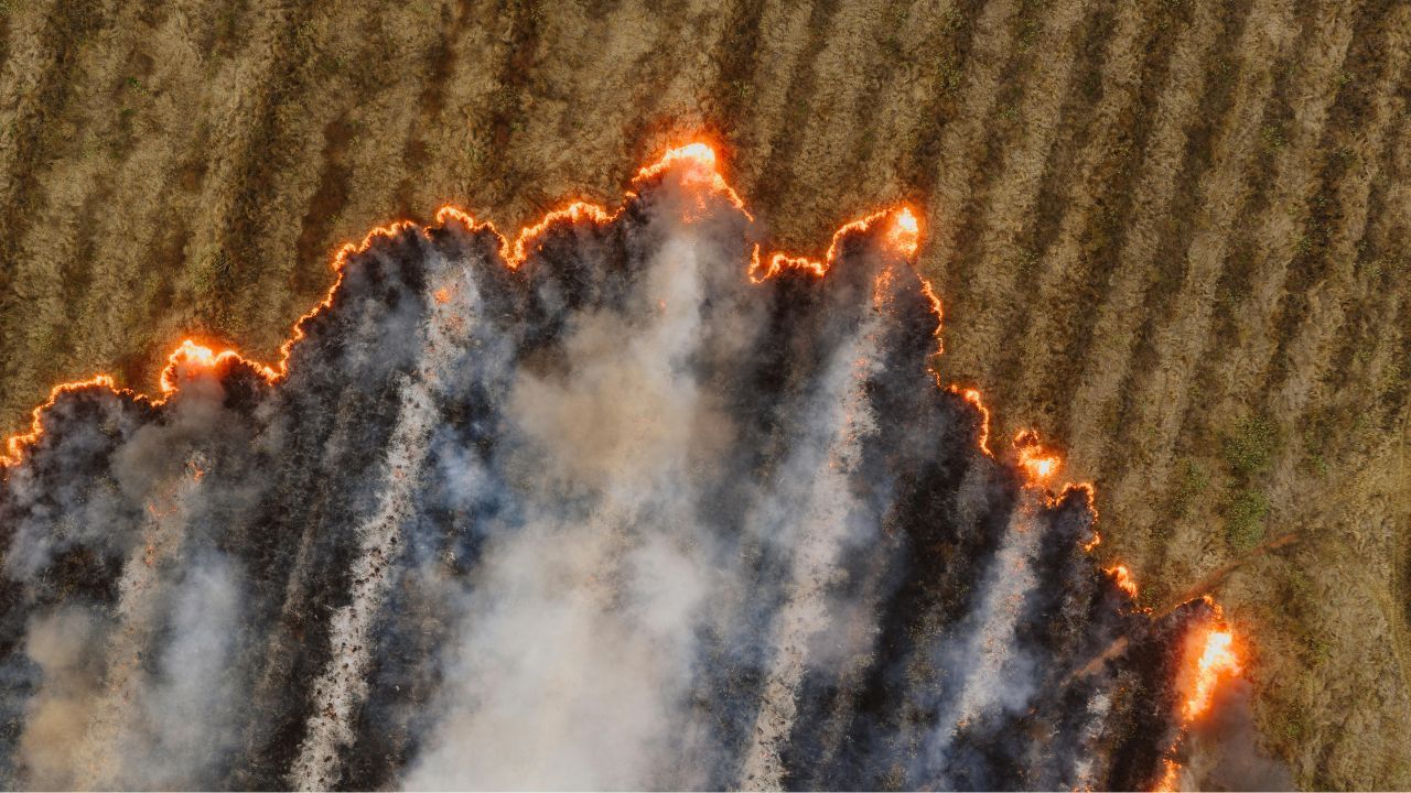 Kary za ten czyn zostaną zaostrzone. Rolnicy muszą o tym wiedzieć, to dziesiątki tysięcy złotych