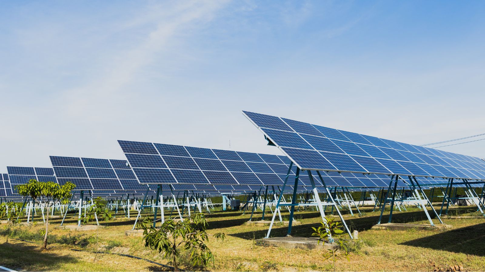8 lat temu zainstalował fotowoltaikę. Teraz pokazał rachunki, sumy mogą mocno zdziwić