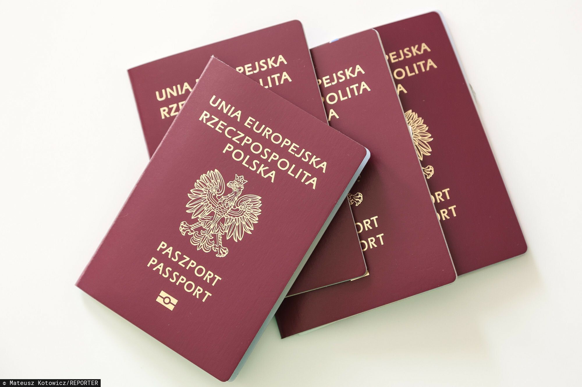 To nie żart. Tak będą wyglądały paszporty Polaków. MSWiA szykuje wielkie zmiany 