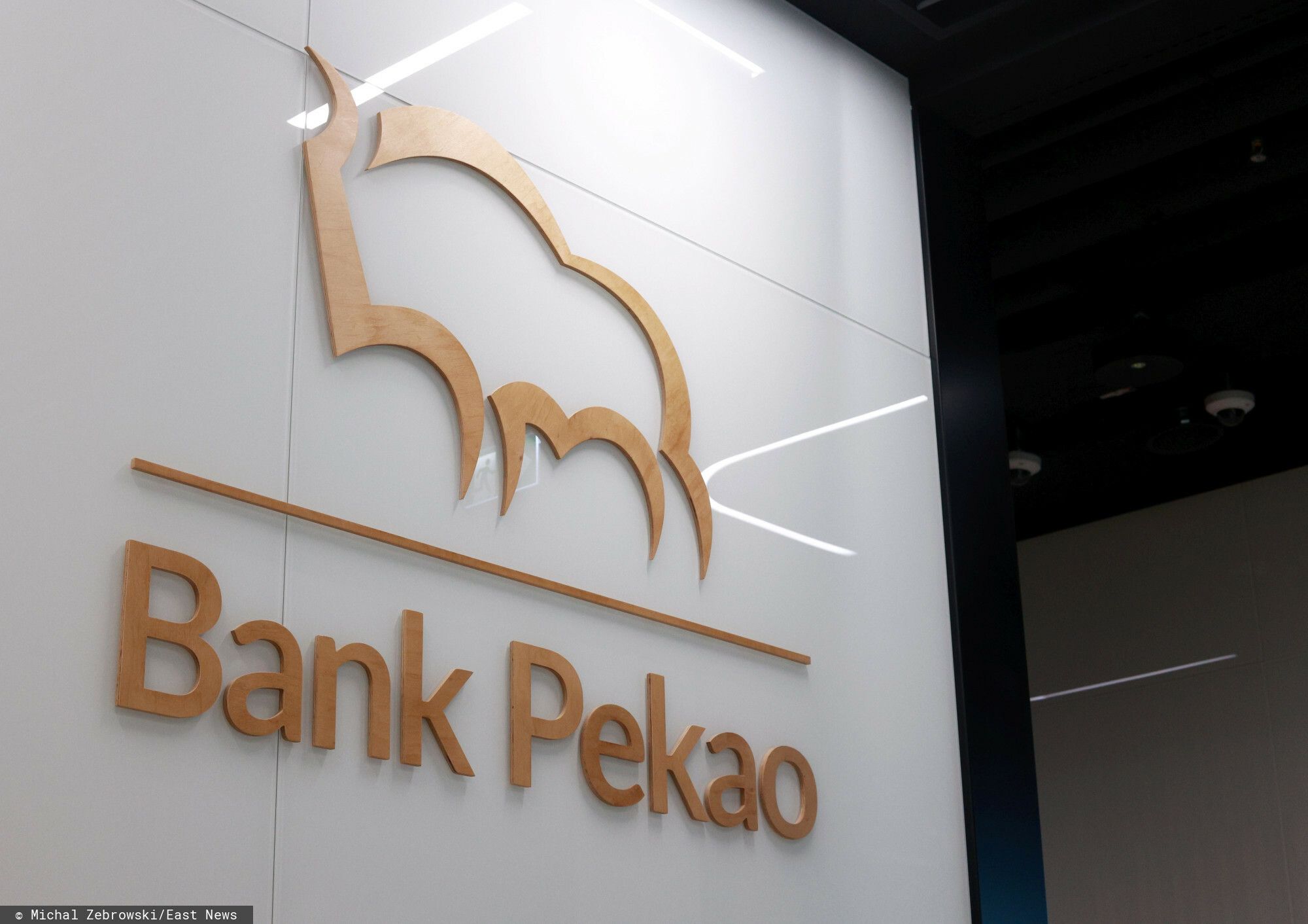 pekao logo.jpg