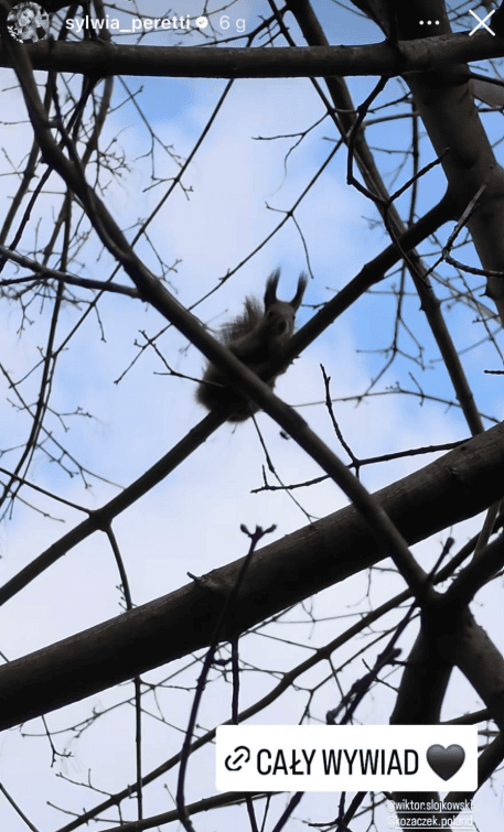 Sylwia Peretti pokazała nagranie znad grobu. Wydarzyło się coś niezwykłego