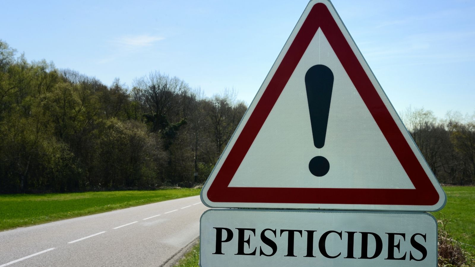 Przebadali herbaty z dyskontów, w składzie pół tablicy Mendelejewa. Oto co codziennie piją Polacy