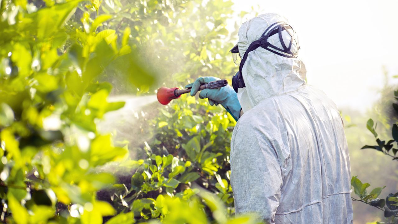 Kary za ten czyn zostaną zaostrzone. Rolnicy muszą o tym wiedzieć, to dziesiątki tysięcy złotych