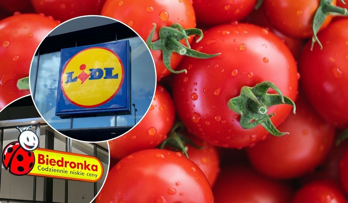 Pojedynek Biedronki i Lidla na pomidory. Naukowcy zbadali poziom pestycydów