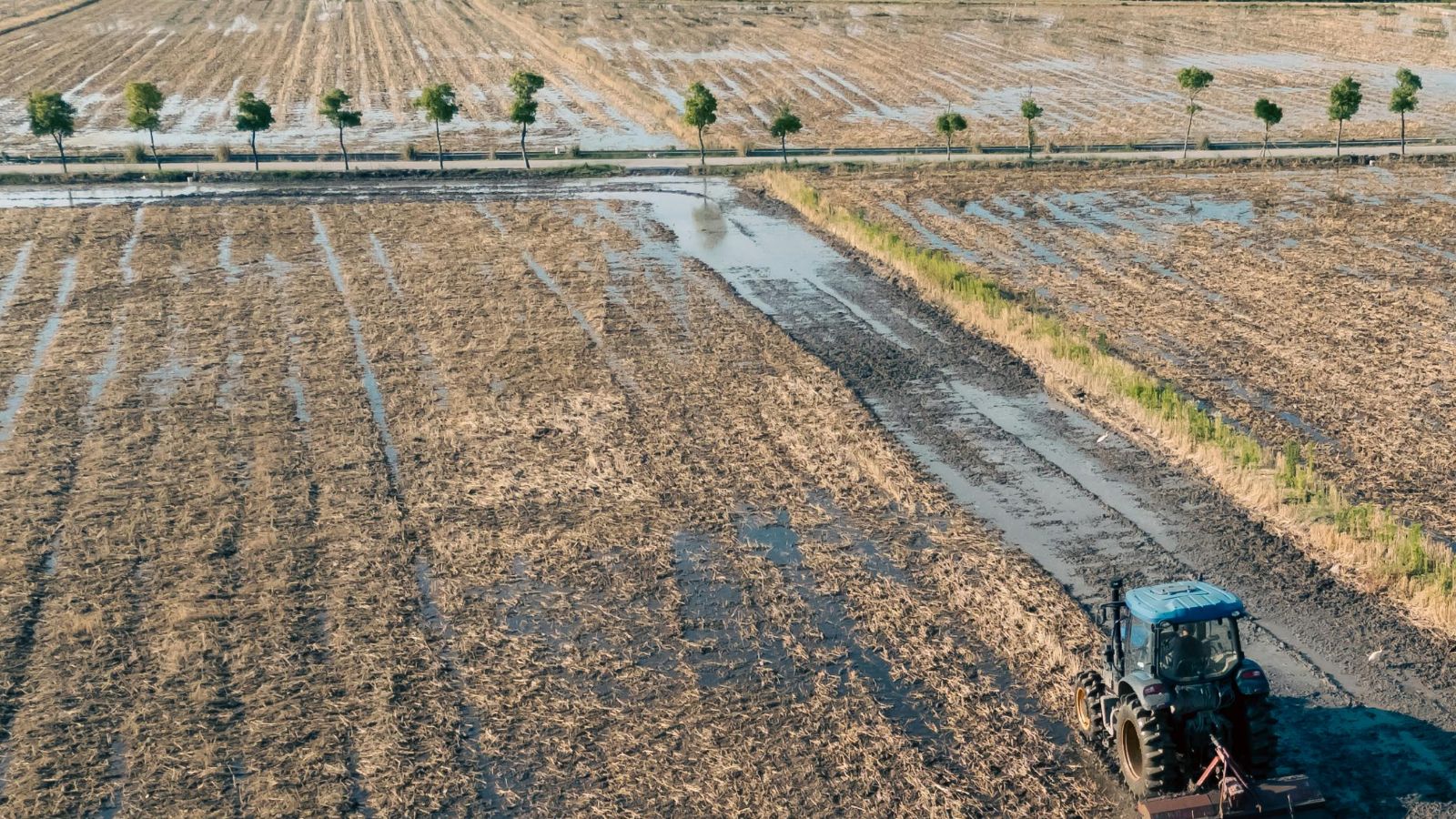 Michał Troszkiewicz