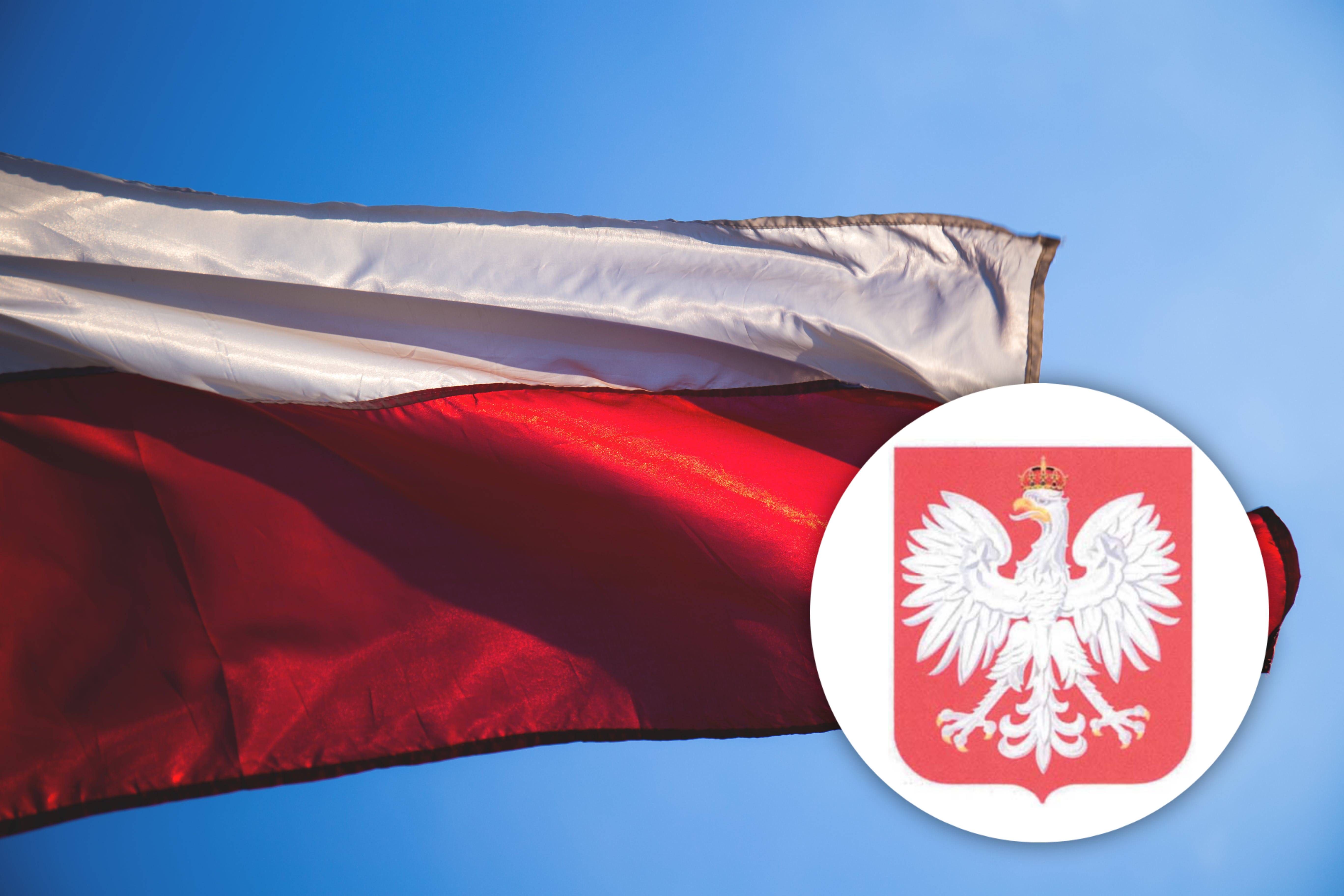 flaga i godło polski 
