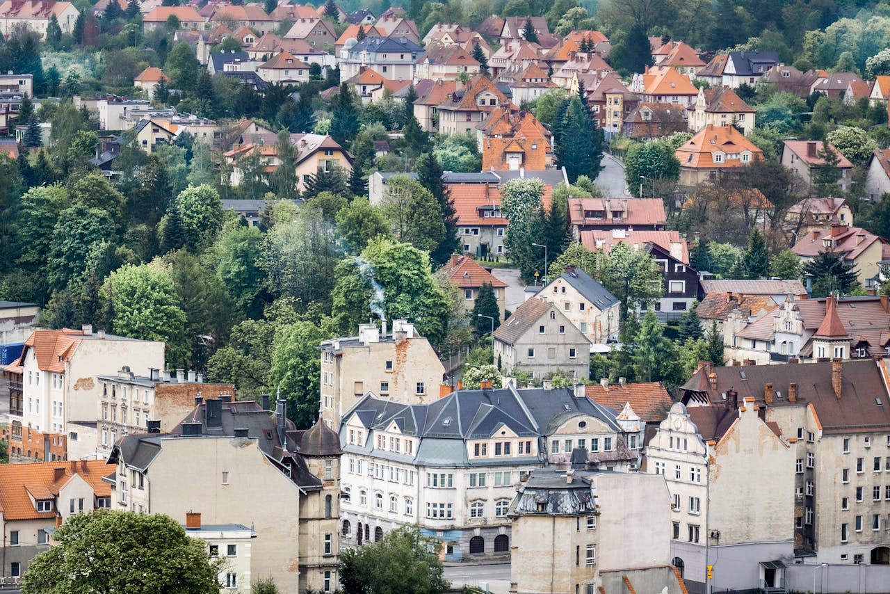 pexels-jakubzerdzicki-17674032.jpg