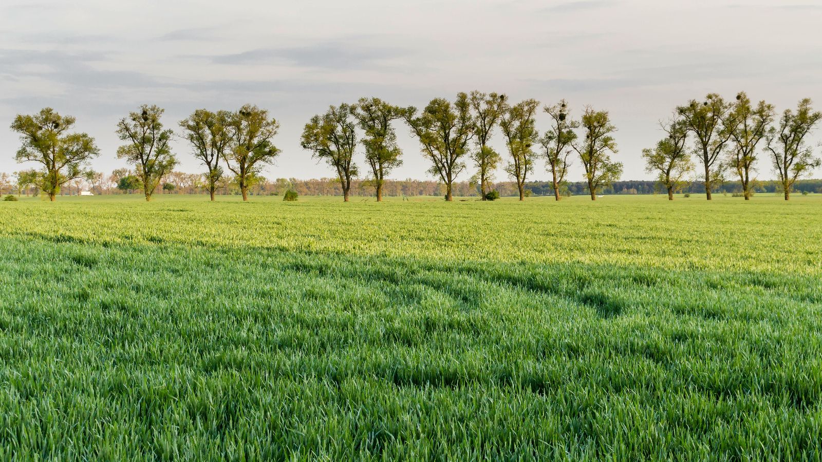Tyle KRUS wypłaci po wypadku w pracy. Kwota może zaskakiwać