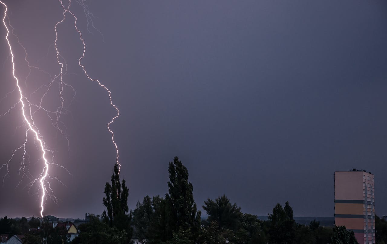 pexels-piotr-arnoldes-7862031-6109716.jpg