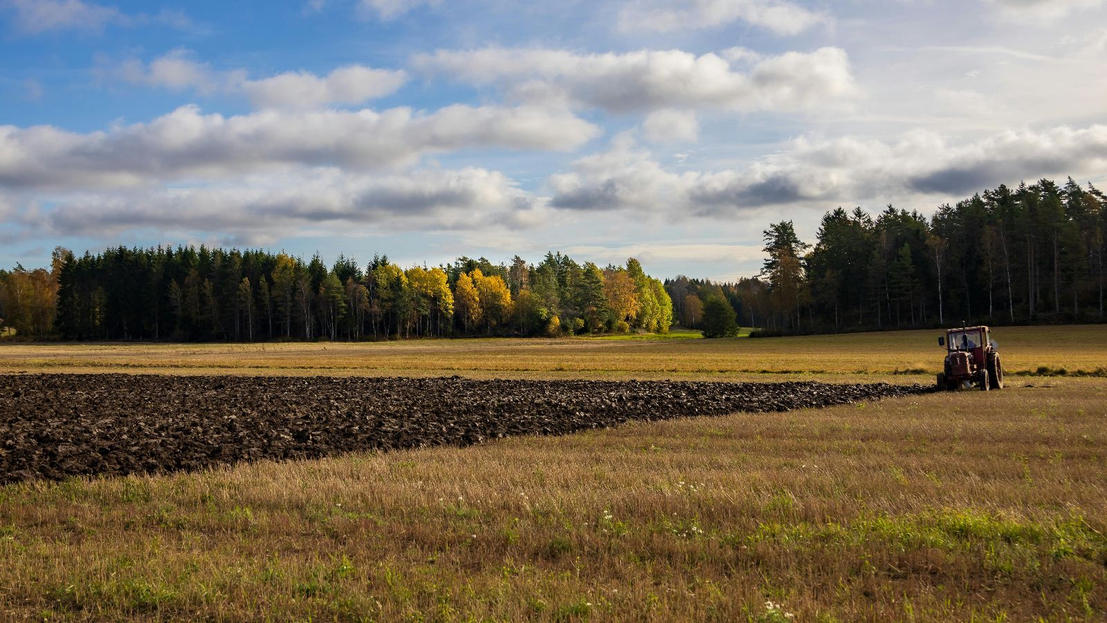 Od marca koniec dopłat dla "pseudorolników”. Poniżej tych stawek pieniędzy już nie będzie