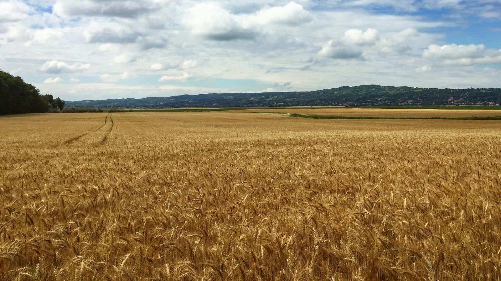 Od 6 marca nowe limity dla rolników. Do wzięcia dodatkowa pula pieniędzy z ARiMR