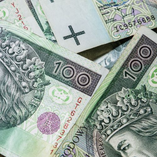 Nie ma kto zbierać owoców. „Chcą zarabiać 500 zł, a ich wydajność jest bardzo słaba"