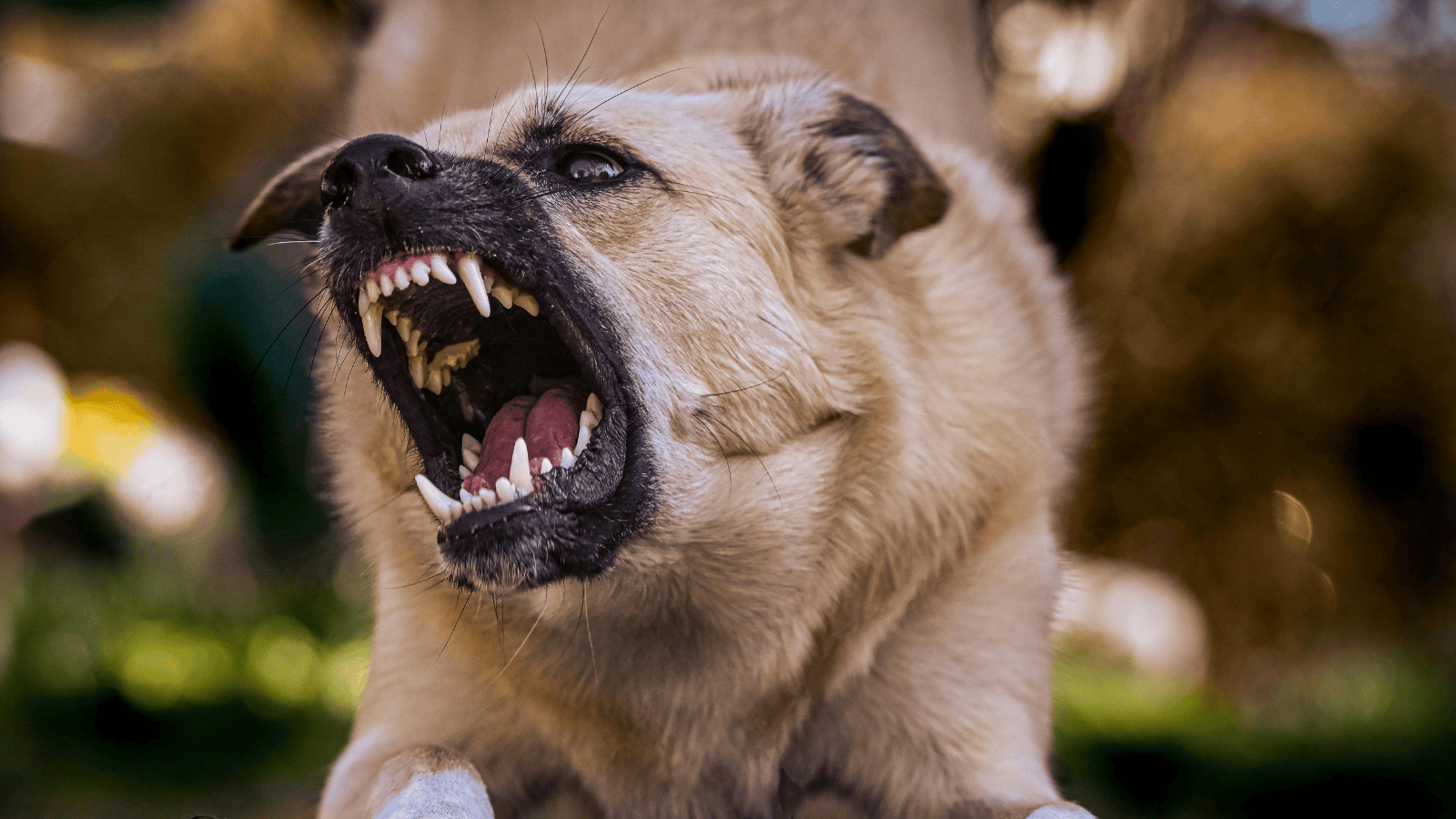Akcja kontrterrorystów w polskiej miejscowości. 43-latek zabarykadował się z rodziną