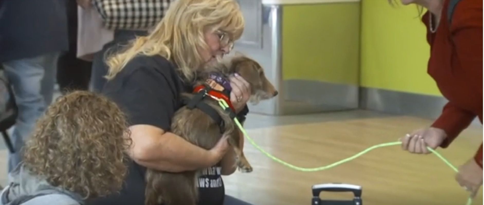 Pies Choco zgubił się w 2021 roku, znalazł tysiące kilometrów od domu