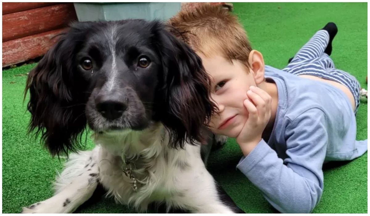 Pies uratował życie 7-letniemu dziecku