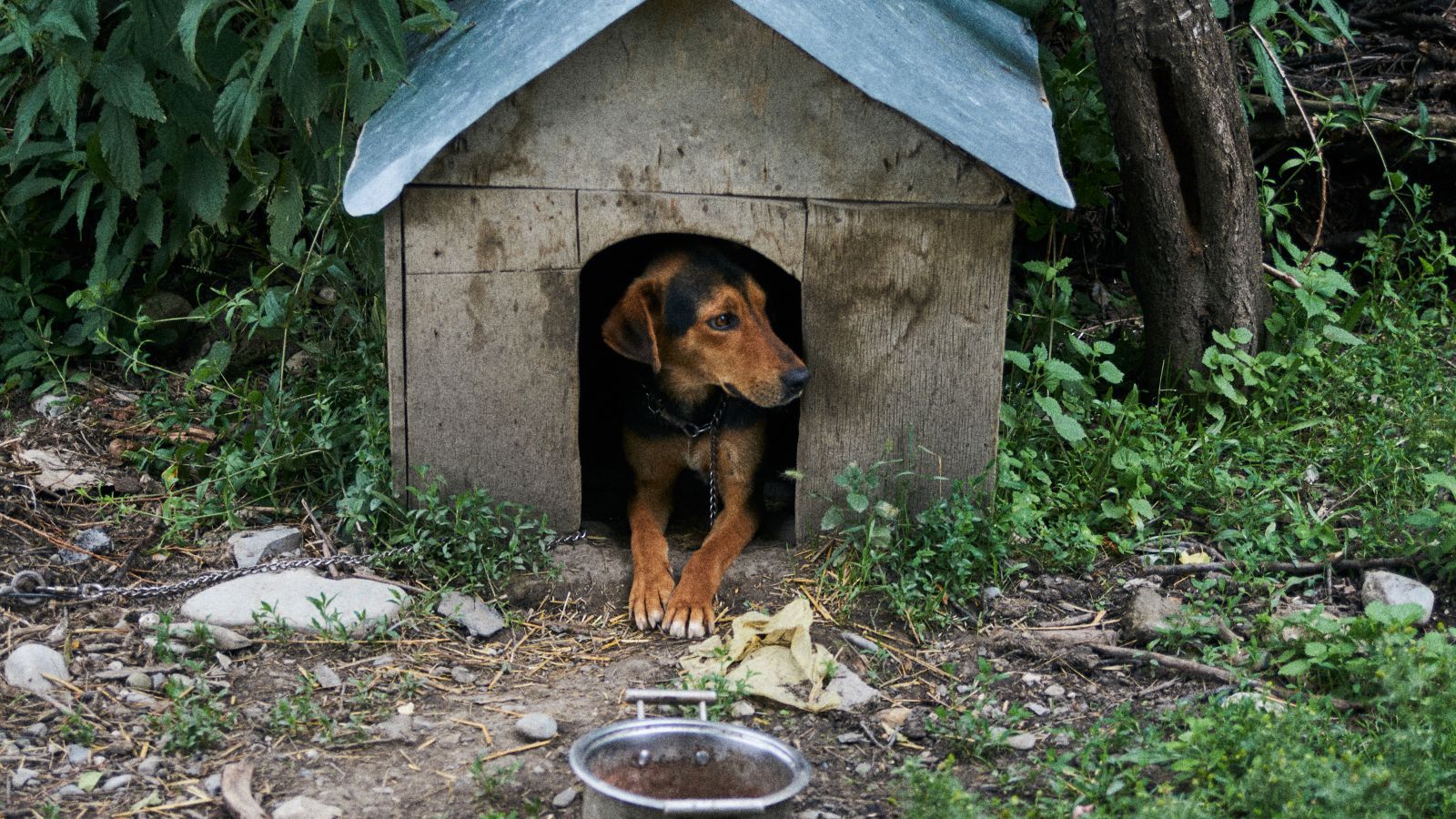 Michał Troszkiewicz
