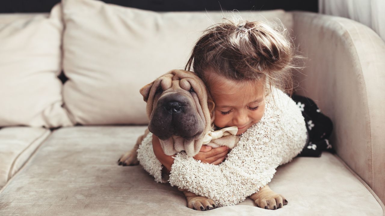 Obowiązkowe OC dla właścicieli psów? Wpłynęło pismo do MSWiA