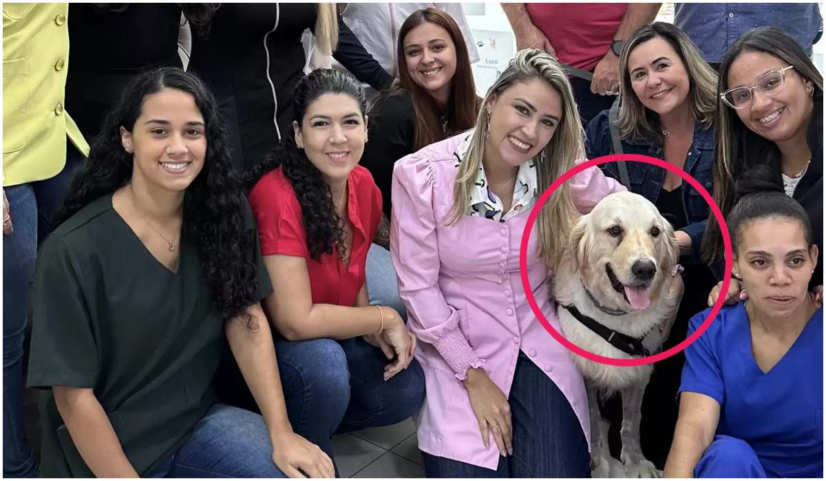 Pies Luck stał się ulubieńcem personelu kliniki