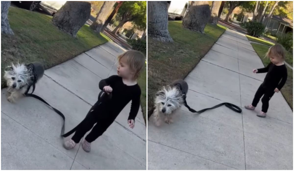 Roczna dziewczynka na spacerze z psem