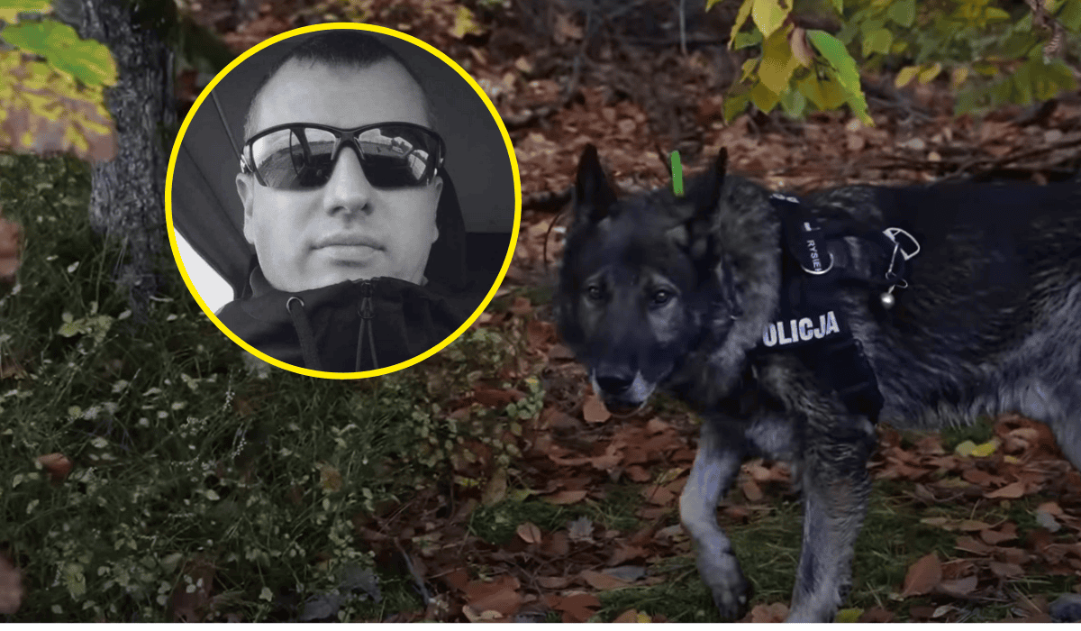pies policyjny, Grzegorz Borys