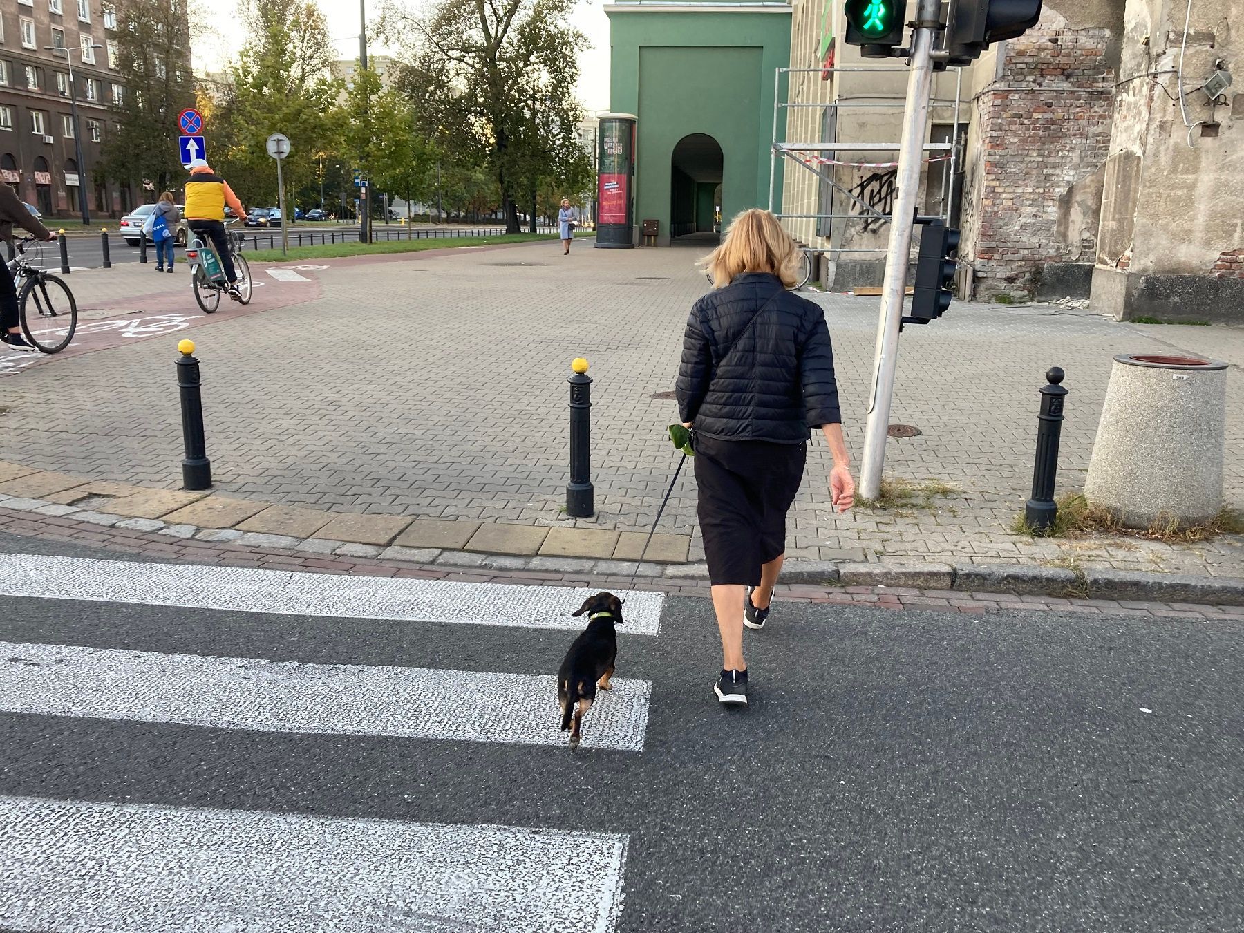 pies-spacer z psem