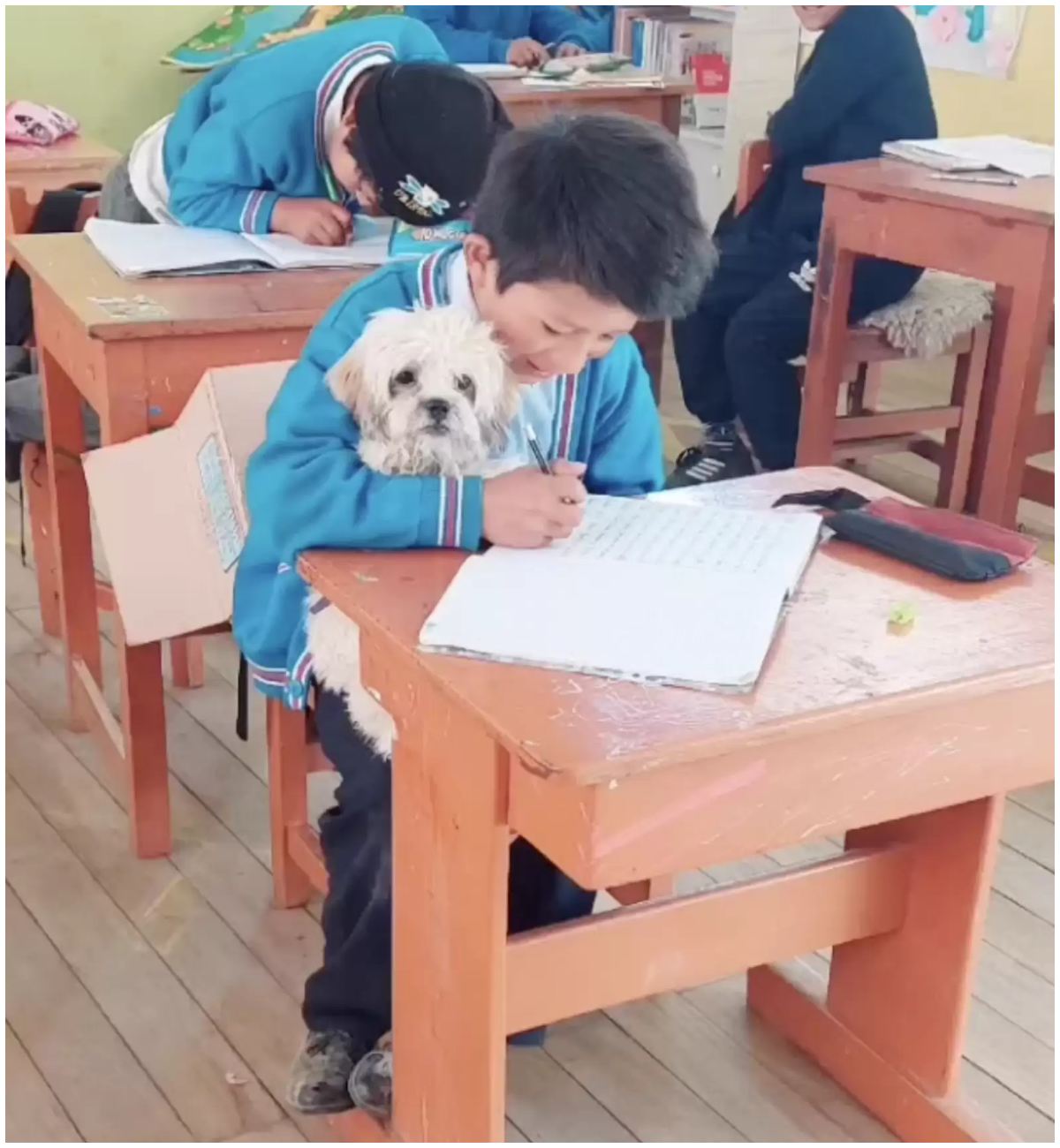 pies w szkole (1).jpg