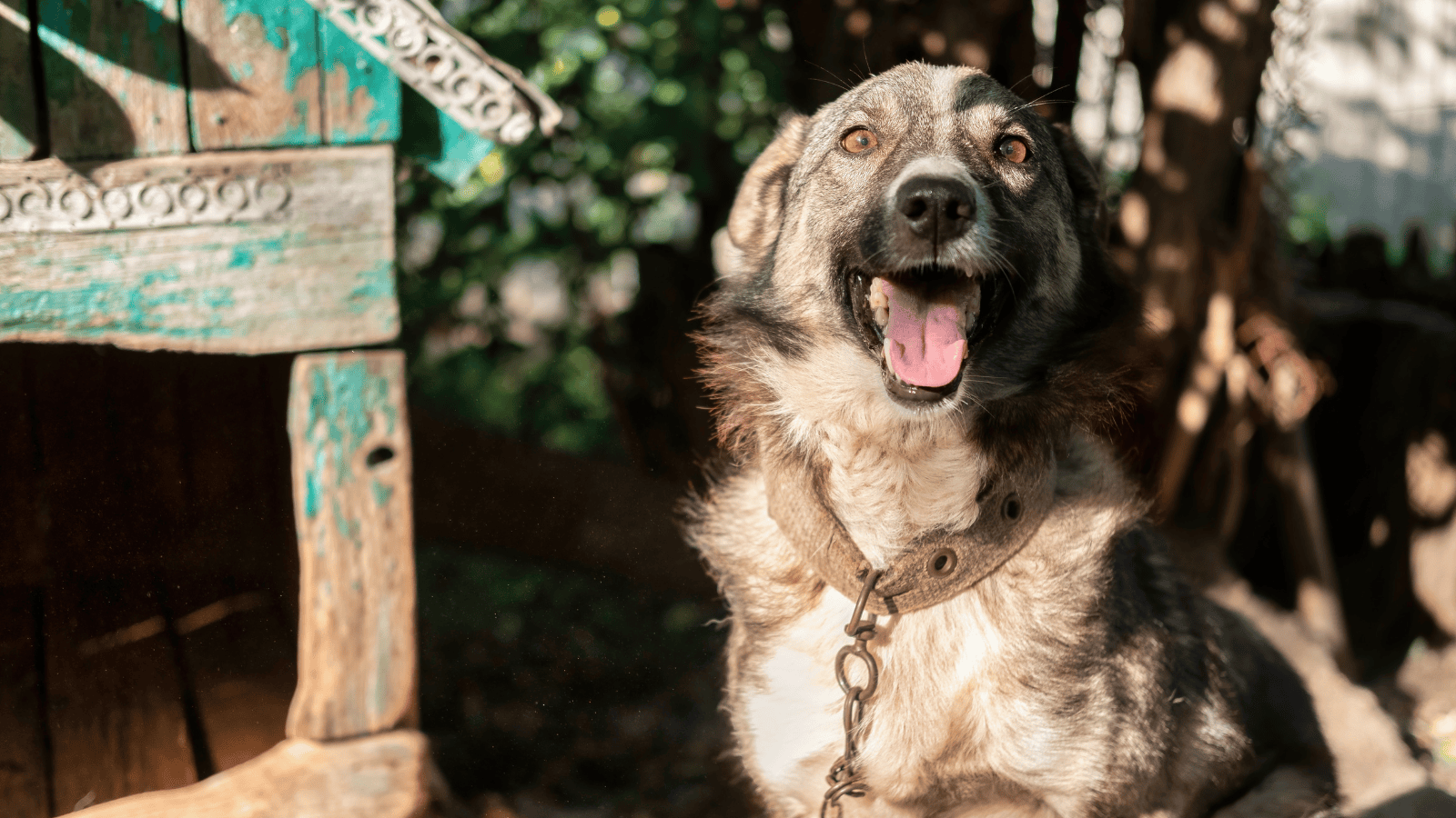 Awantura w programie na żywo. Europoseł PiS zrobił zaskakującą rzecz