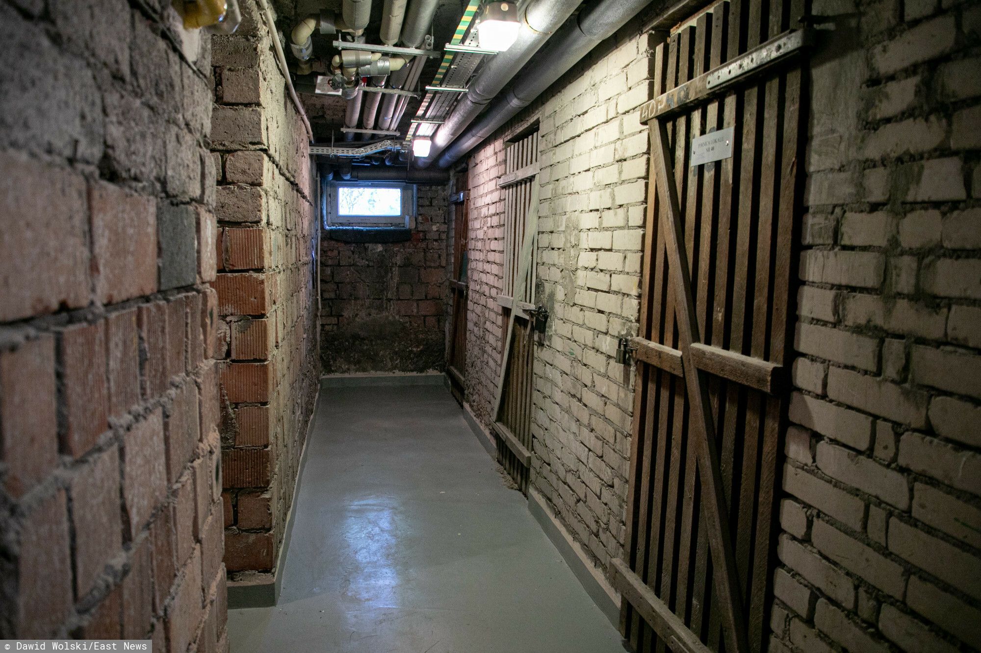 5 tys. zł kary za trzymanie tego w piwnicy. W tym przypadku prawo jest bezlitosne