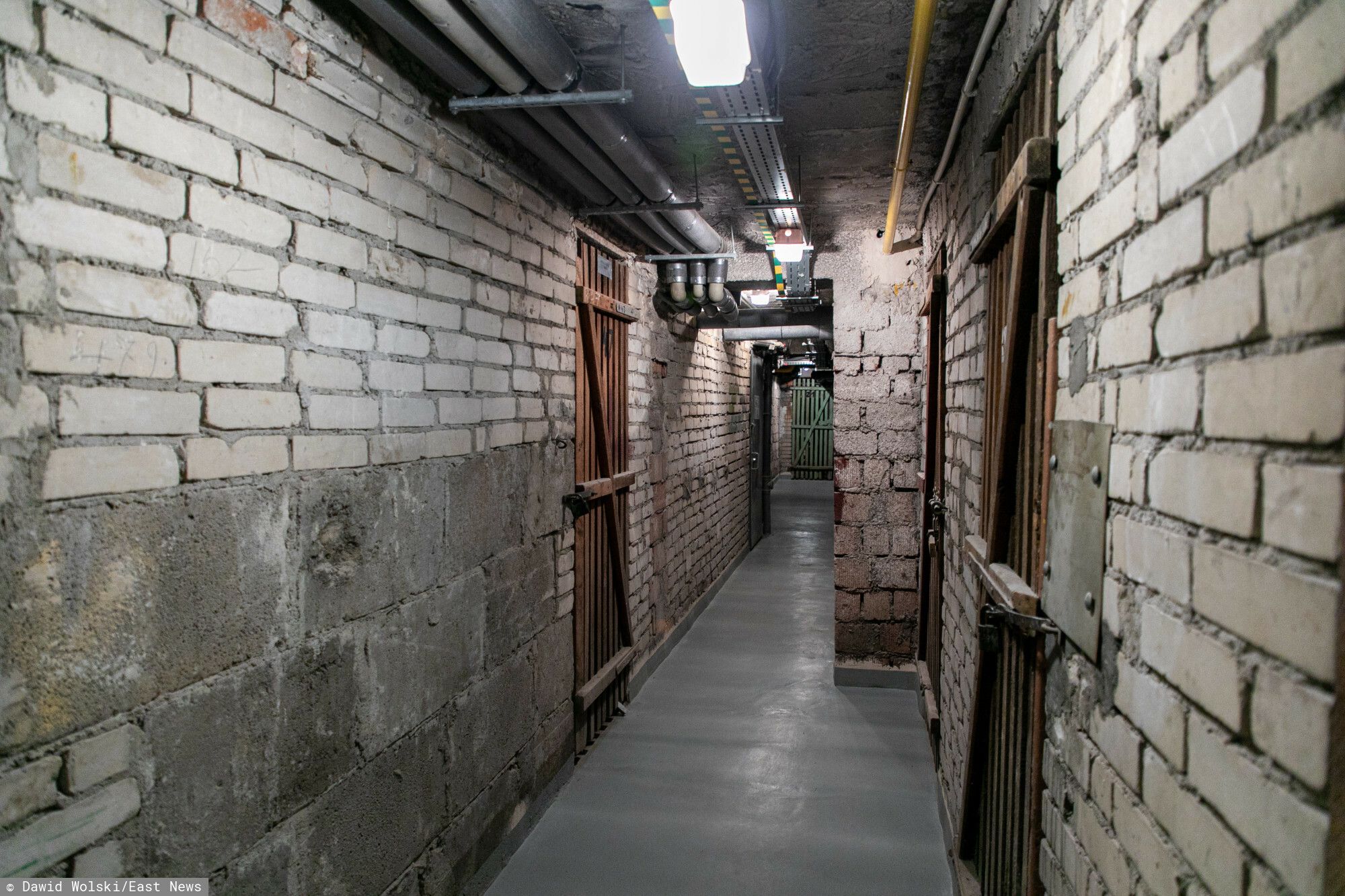 5 tys. zł kary za trzymanie tego w piwnicy. W tym przypadku prawo jest bezlitosne