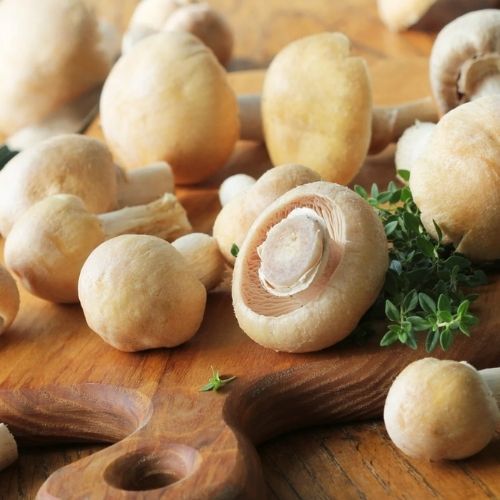 Zbierz i włóż do słoików. Marynowane są lepsze, niż podgrzybki