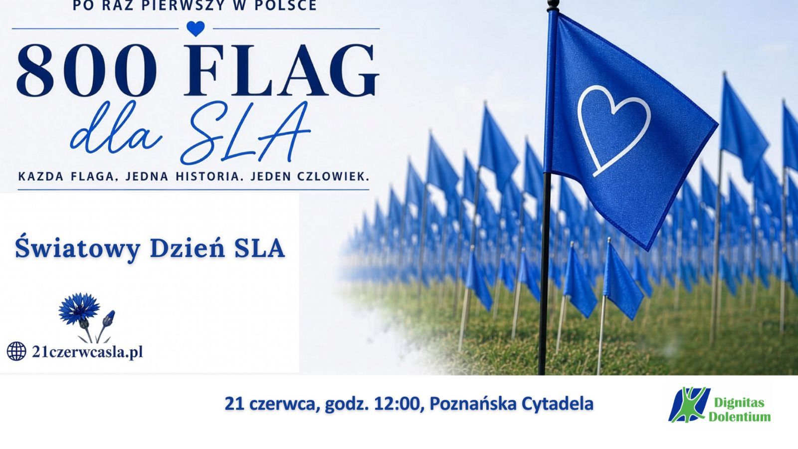 Wyjątkowa instalacja w poznańskim parku. Co oznaczają błękitne flagi na Cytadeli?