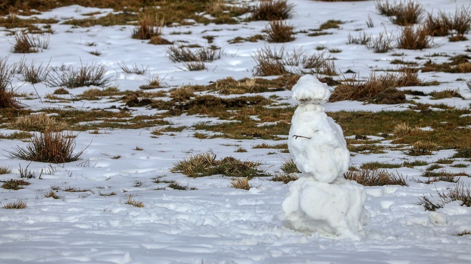 Michał  Troszkiewicz