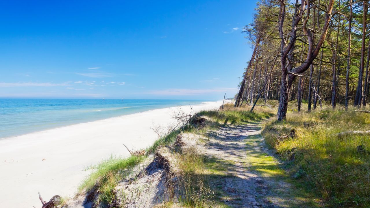 plaża.jpg